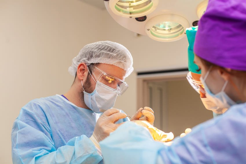 haartransplantatie sessie